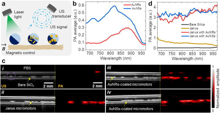 Nanomaterial-decorated micromotors for enhanced photoacoustic imaging.