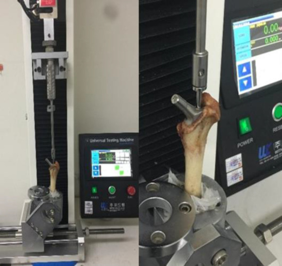 Biomechanical evaluation of the impact of collared cementless total hip arthroplasty stems on implant subsidence: a cadaveric study in German Shepherd.