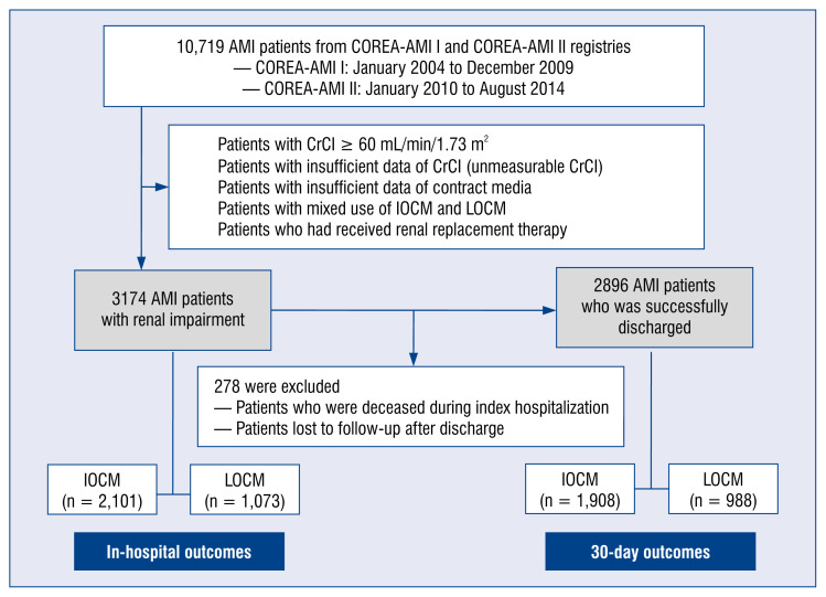Different outcomes between iso-osmolar and low-osmolar contrast media in acute myocardial infarction with renal impairment.