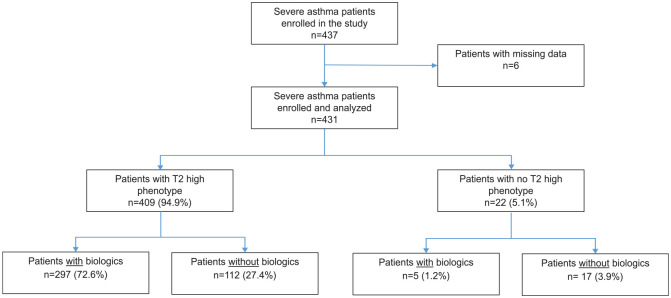 Improvement in severe asthma patients receiving biologics and factors associated with persistent insufficient control: a real-life national study.