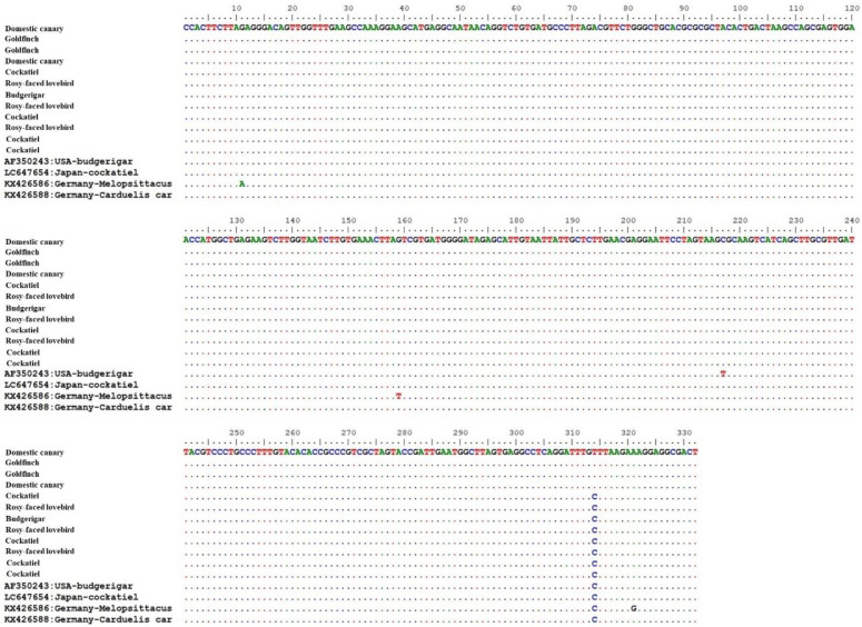 Molecular identification and phylogenetic analysis of <i>Macrorhabdus ornithogaster</i> based on the <i>18S rRNA</i> gene in companion birds of Tehran, Iran.