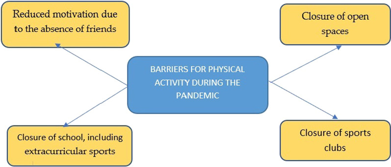 Physical activity and sedentary behaviour of male adolescents in Indonesia during the COVID-19 pandemic: a mixed-method case study using accelerometers, automated wearable cameras, diaries, and interviews.
