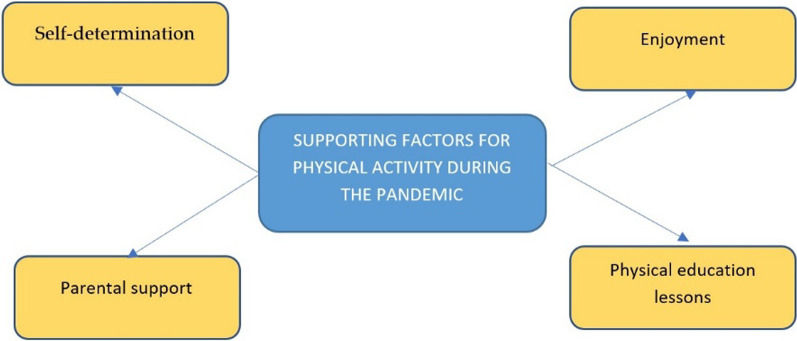 Physical activity and sedentary behaviour of male adolescents in Indonesia during the COVID-19 pandemic: a mixed-method case study using accelerometers, automated wearable cameras, diaries, and interviews.