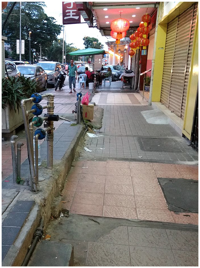 Self-reported use of technology by orientation and mobility clients in Australia and Malaysia before the COVID-19 pandemic.