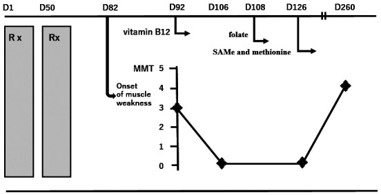 Methotrexate-induced subacute myelopathy: a serious but treatable complication.