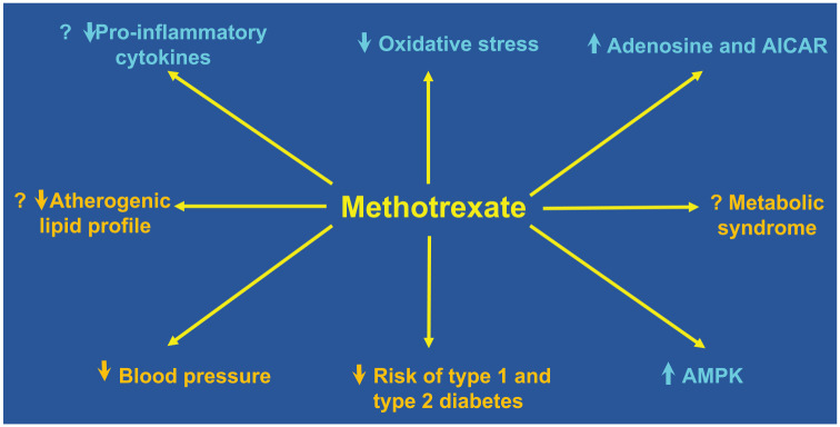 Methotrexate and cardiovascular prevention: an appraisal of the current evidence.