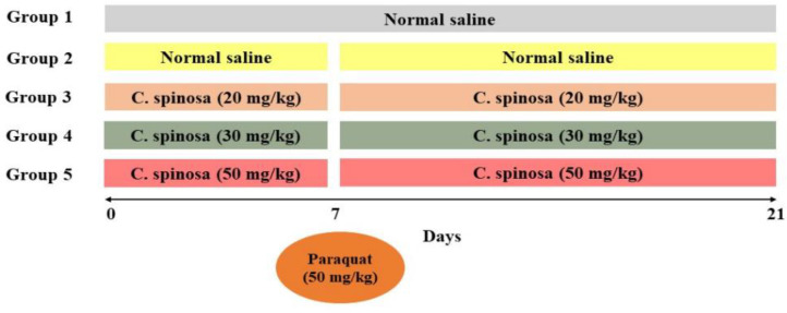 Effect of <i>Capparis spinosa</i> Fruit Hydroalcoholic Extract on Paraquat-Induced Pulmonary Fibrosis in the Rat.