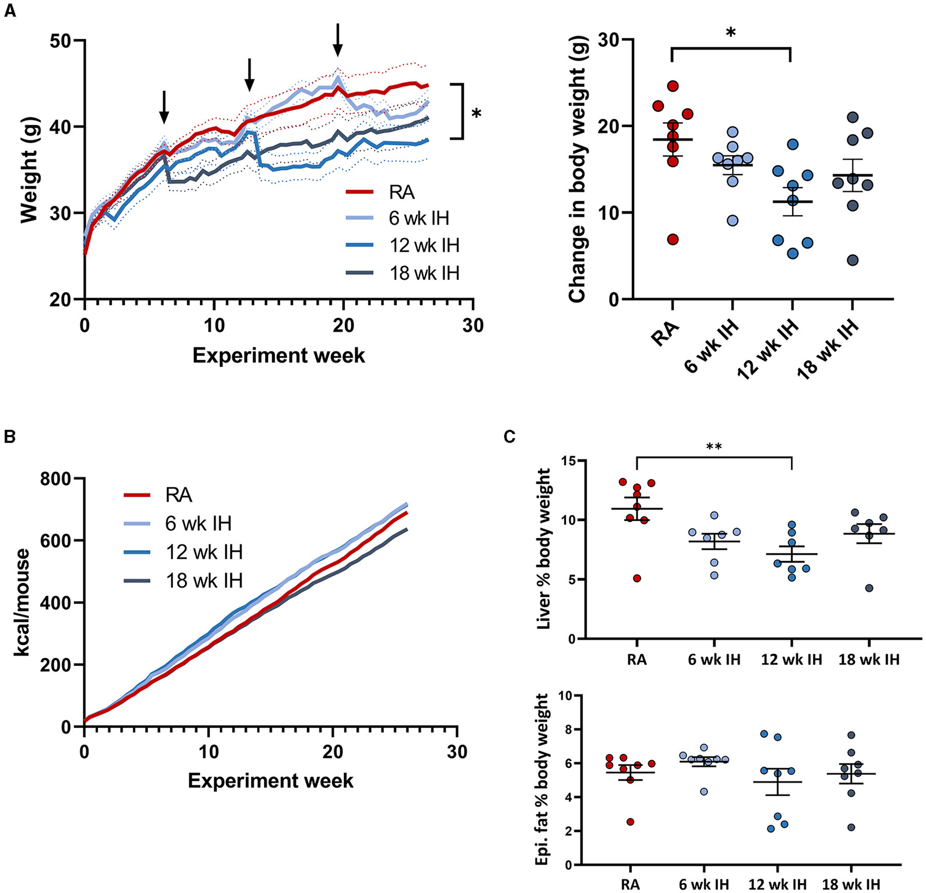 Duration of intermittent hypoxia impacts metabolic outcomes and severity of murine NAFLD.