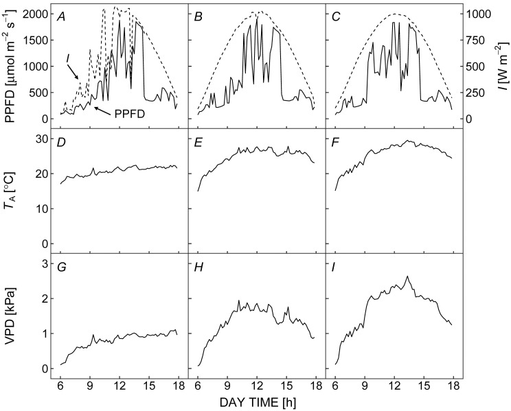 Diurnal changes in the stomatal, mesophyll, and biochemical limitations of photosynthesis in well-watered greenhouse-grown strawberries.