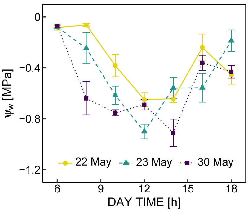 Diurnal changes in the stomatal, mesophyll, and biochemical limitations of photosynthesis in well-watered greenhouse-grown strawberries.