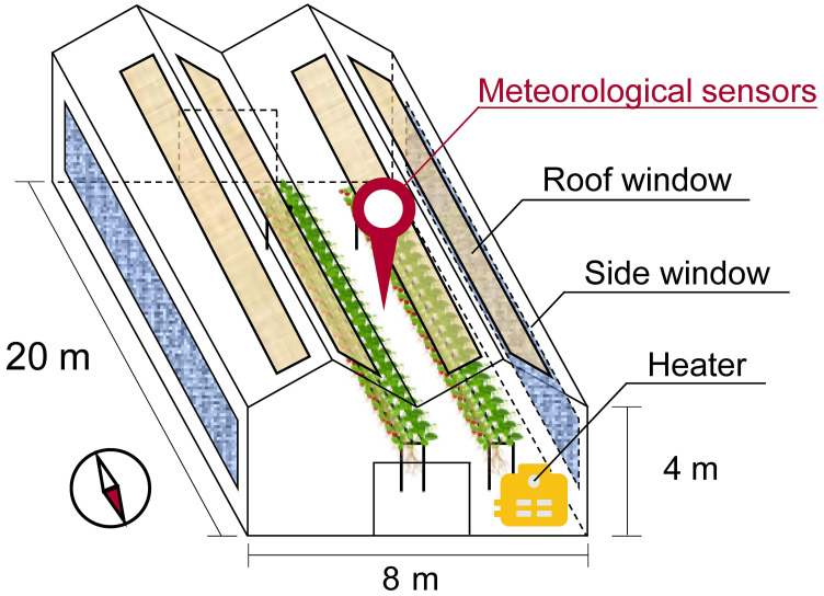 Diurnal changes in the stomatal, mesophyll, and biochemical limitations of photosynthesis in well-watered greenhouse-grown strawberries.