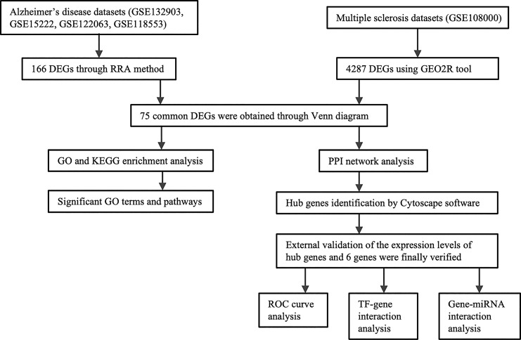 Exploring Shared Genetic Signatures of Alzheimer's Disease and Multiple Sclerosis: A Bioinformatic Analysis Study.