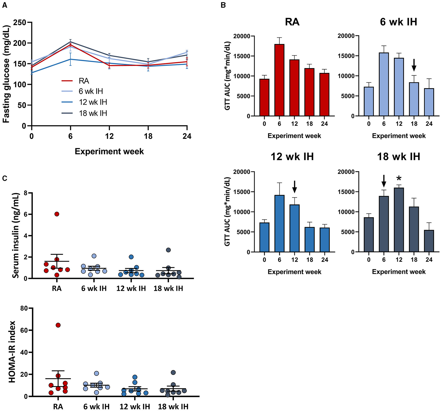 Duration of intermittent hypoxia impacts metabolic outcomes and severity of murine NAFLD.