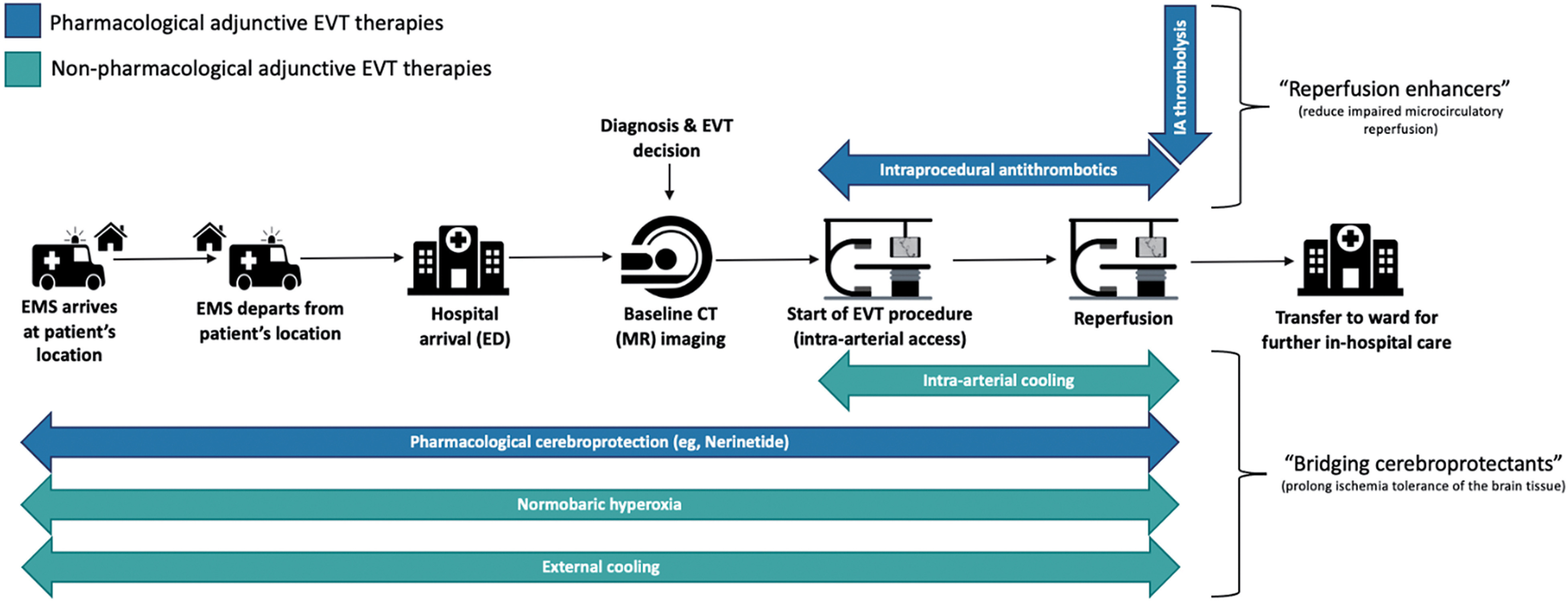 A Review on Adjunctive Therapies for Endovascular Treatment in Acute Ischemic Stroke.