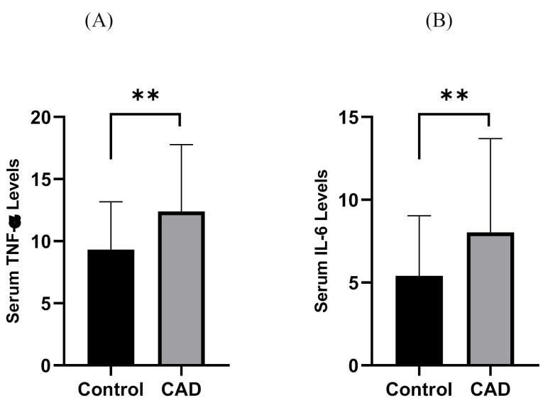 Evaluation of MMP-9, IL-6, TNF-α levels and peripheral blood mononuclear cells genes expression of MMP-9 and TIMP-1 in Iranian patients with coronary artery disease.