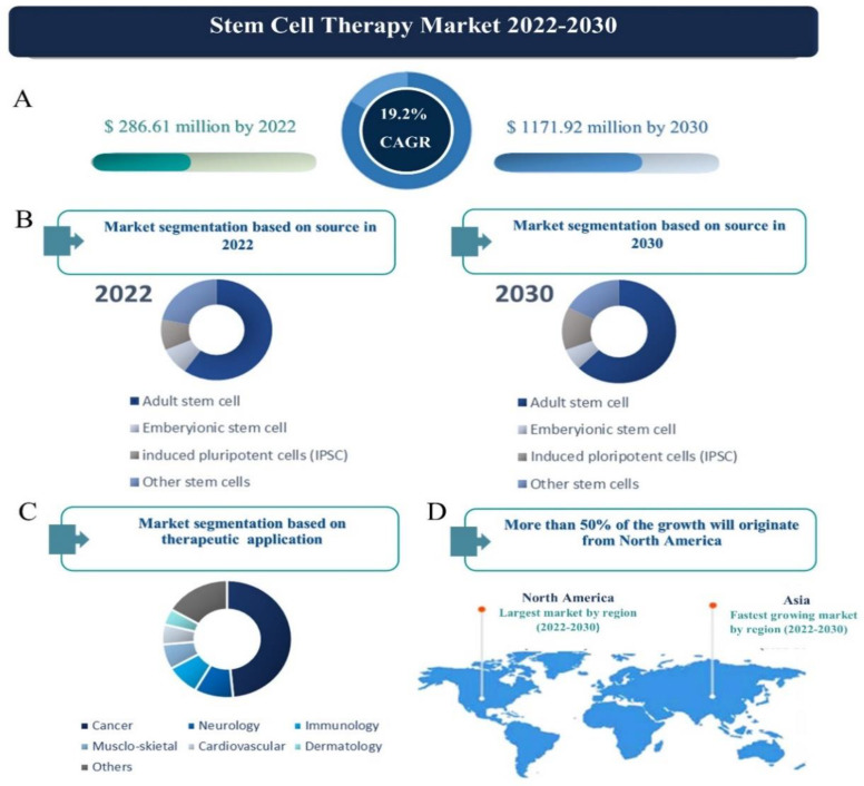 Stem Cell Therapy, the Market, the Opportunities and the Threat.