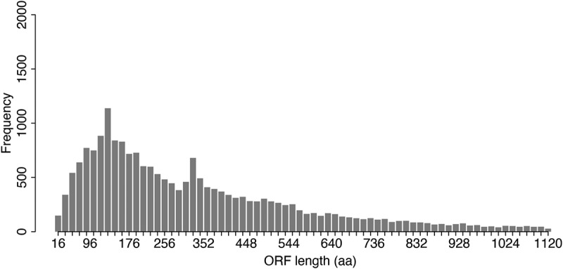 Discovering microproteins: making the most of ribosome profiling data.