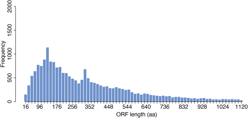 Discovering microproteins: making the most of ribosome profiling data.