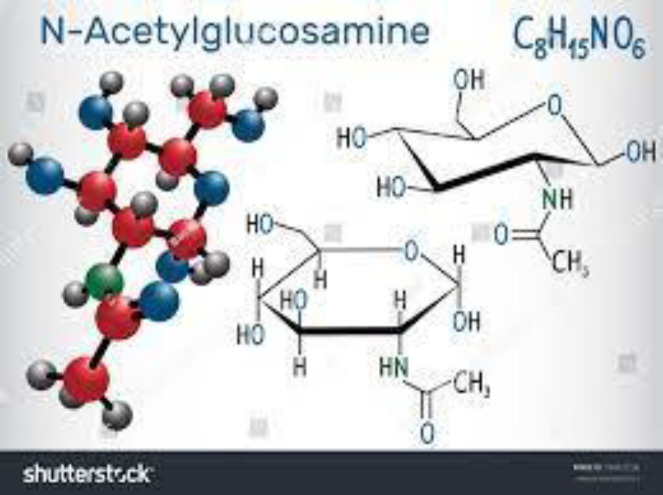 Chitosan: a promising natural polysaccharide feed additive in poultry production systems.