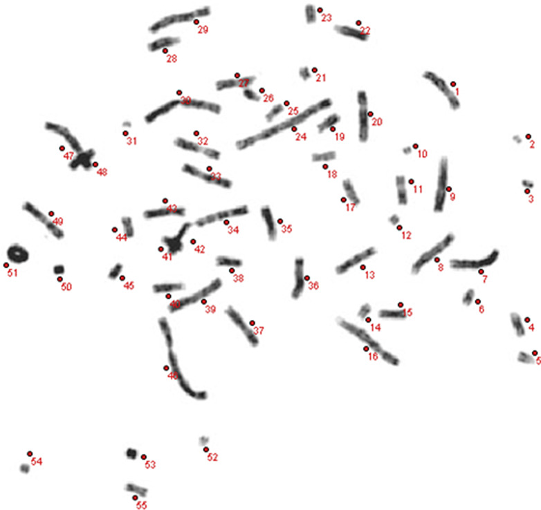 Abstract Image