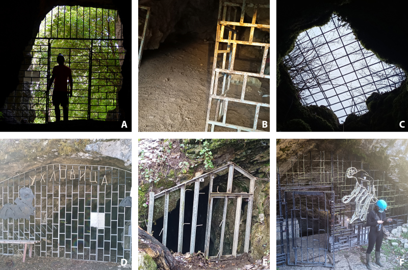 Important underground roosts for bats in Bulgaria: current state and priorities for conservation.