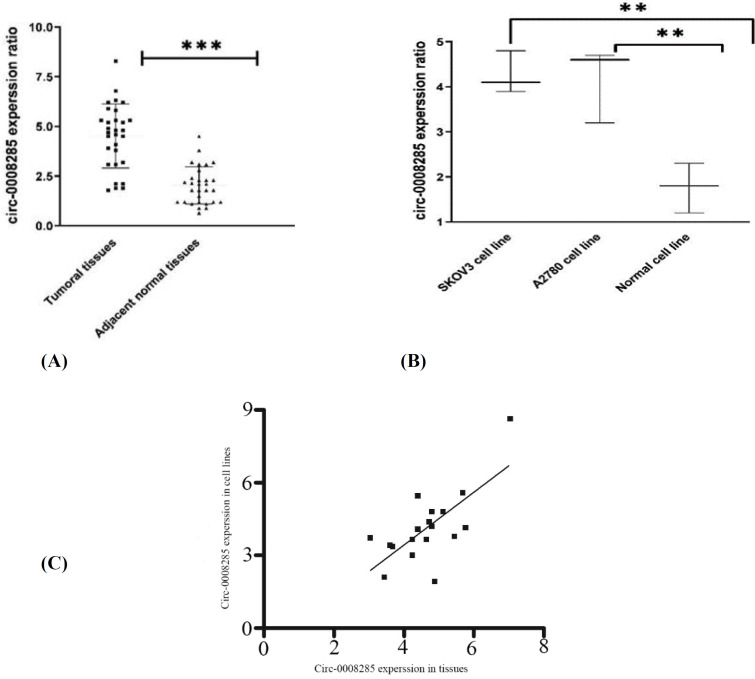 Has_circ_0008285/miR-211-5p/SIRT-1 Axis Suppress Ovarian Cancer Cells Progression.