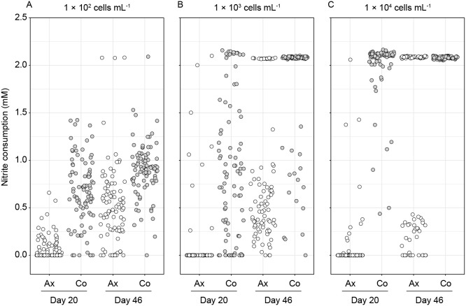 Effects of Co-existing Heterotrophs on Physiology of and Nitrogen Metabolism in Autotrophic Nitrite-oxidizing Candidatus Nitrotoga.
