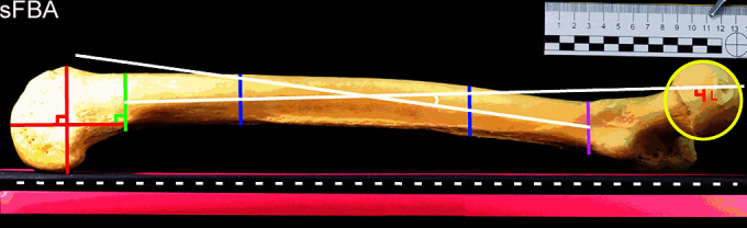 Abstract Image