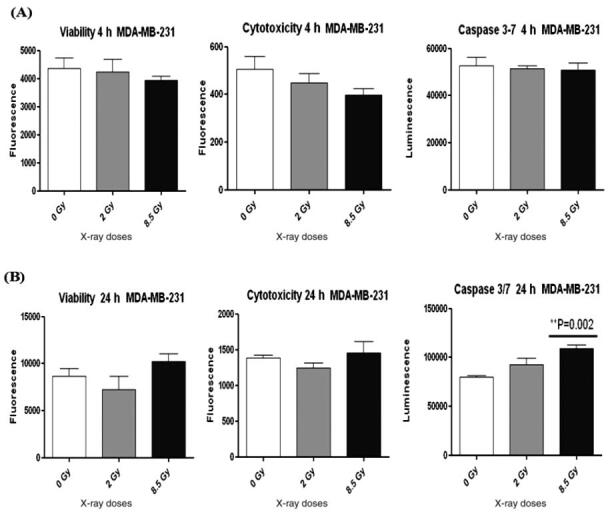 The Detection of DNA Damage Response in MCF7 and MDA-MB-231 Breast Cancer Cell Lines after X-ray Exposure.