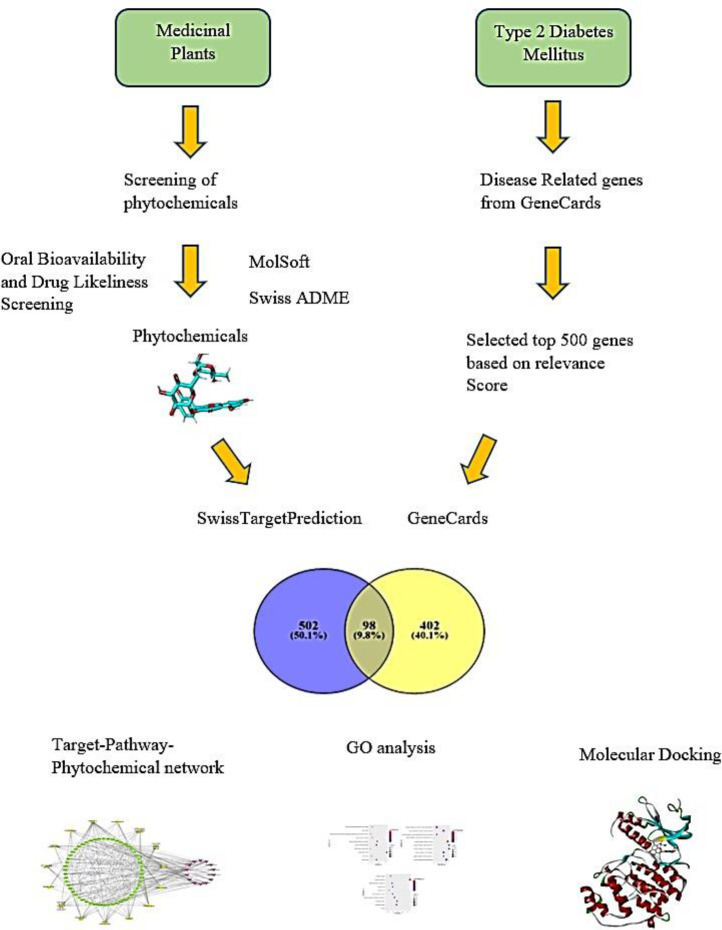 <i>In Silico</i> Molecular Docking of Phytochemicals for Type 2 Diabetes Mellitus Therapy: A Network Pharmacology Approach.