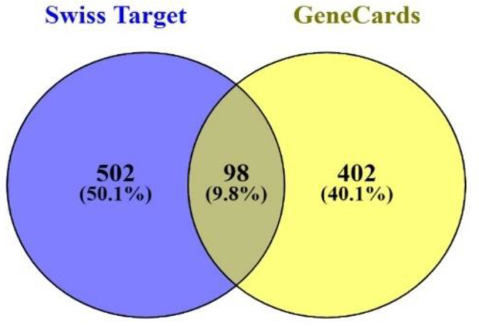 <i>In Silico</i> Molecular Docking of Phytochemicals for Type 2 Diabetes Mellitus Therapy: A Network Pharmacology Approach.
