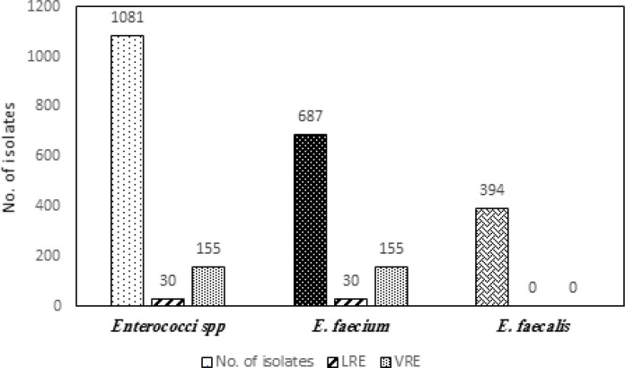 Emergence of OptrA Gene Mediated Linezolid Resistance among Enterococcus Faecium: A Pilot Study from a Tertiary Care Hospital, India.
