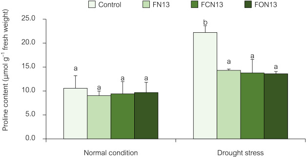 Bioformulations Derived from Enterobacter sp. NRRU-N13 and Oligochitosan Alleviate Drought Stress in Thai Jasmine Rice (Oryza sativa L. var. KDML105).