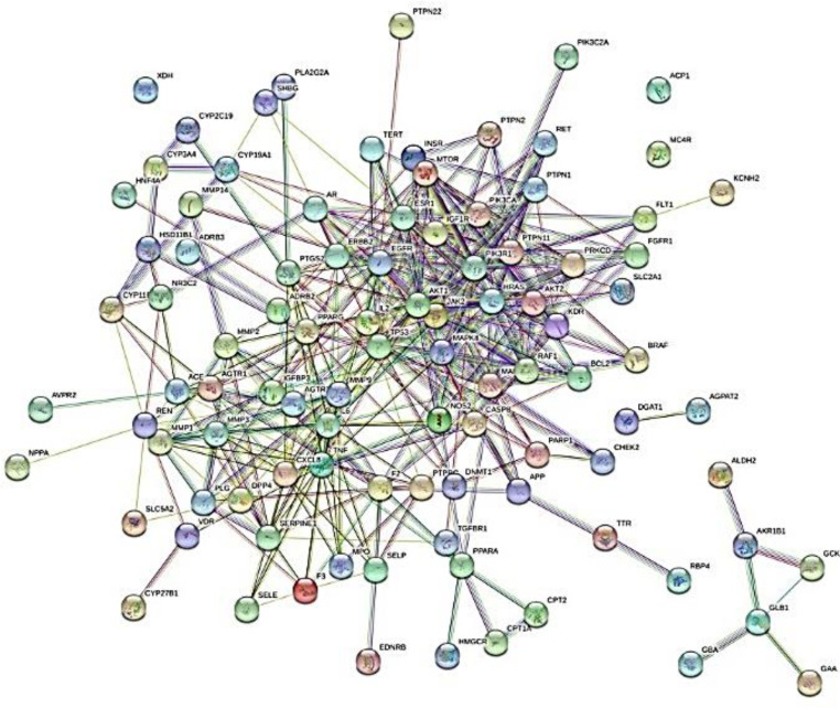 <i>In Silico</i> Molecular Docking of Phytochemicals for Type 2 Diabetes Mellitus Therapy: A Network Pharmacology Approach.