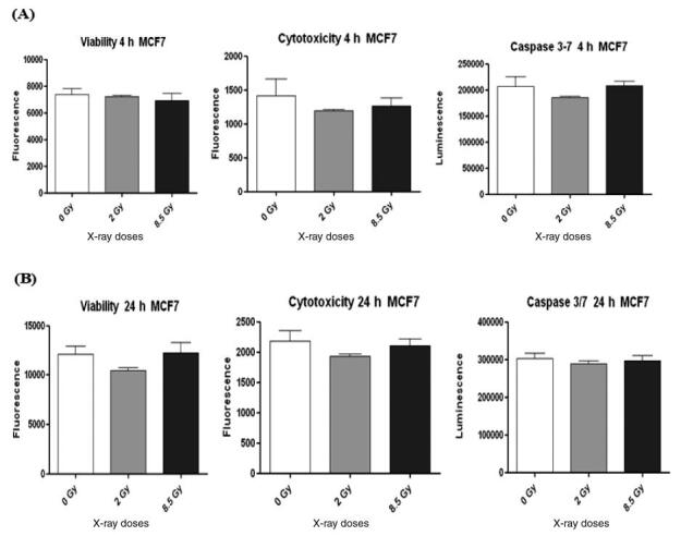 The Detection of DNA Damage Response in MCF7 and MDA-MB-231 Breast Cancer Cell Lines after X-ray Exposure.