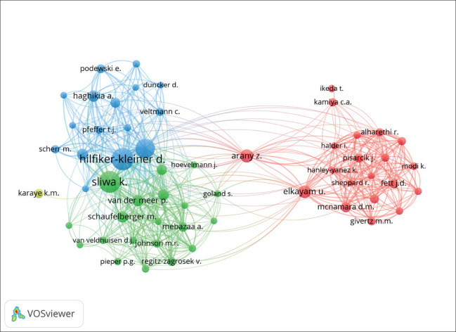 Global Research Trends and Future Direction in Peripartum Cardiomyopathy: A Bibliometric Analysis.