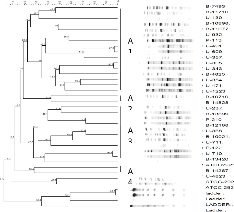 Emergence of OptrA Gene Mediated Linezolid Resistance among Enterococcus Faecium: A Pilot Study from a Tertiary Care Hospital, India.