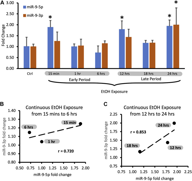 miR-9 utilizes precursor pathways in adaptation to alcohol in mouse striatal neurons.