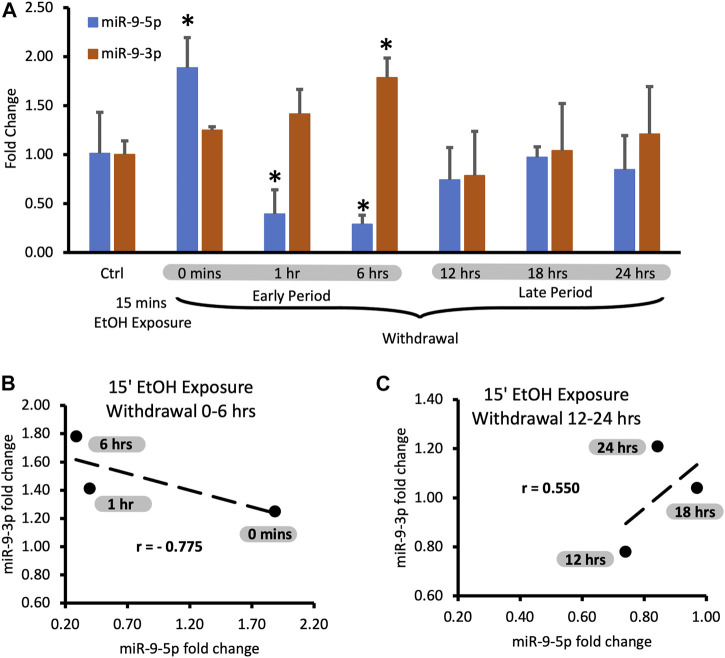 miR-9 utilizes precursor pathways in adaptation to alcohol in mouse striatal neurons.