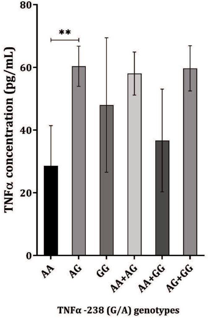 Tumor Necrosis Factor Alpha (TNFα) Gene Promoter Polymorphisms and Haplotypes are Associated with the Febrile Seizure (FS) and TNFα Serum Levels.