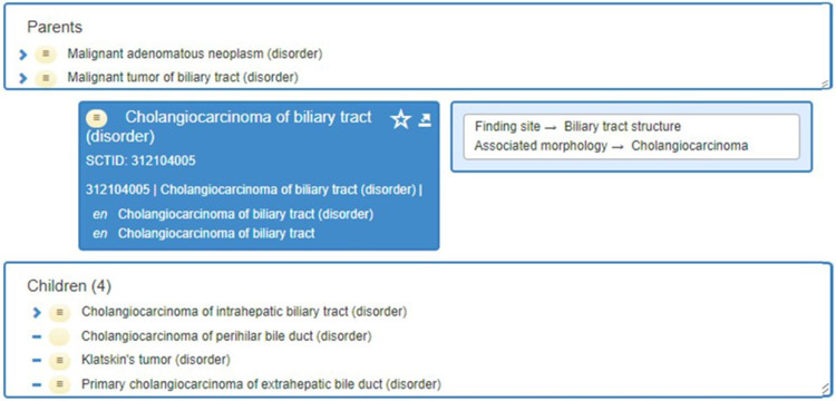 Axiomatizing SNOMED CT Disorders: Should There Be Room for Interpretation?