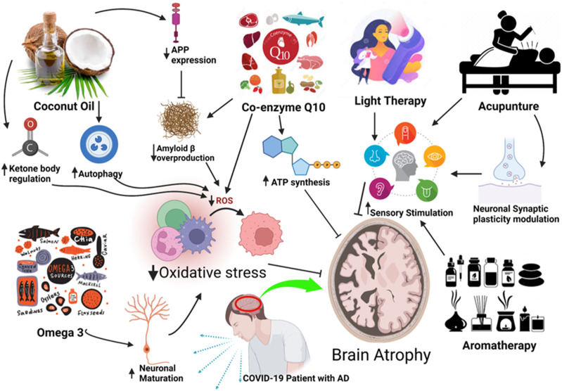 The Neuropathological Impacts of COVID-19: Challenges and Alternative Treatment Options for Alzheimer's Like Brain Changes on Severely SARS-CoV-2 Infected Patients.