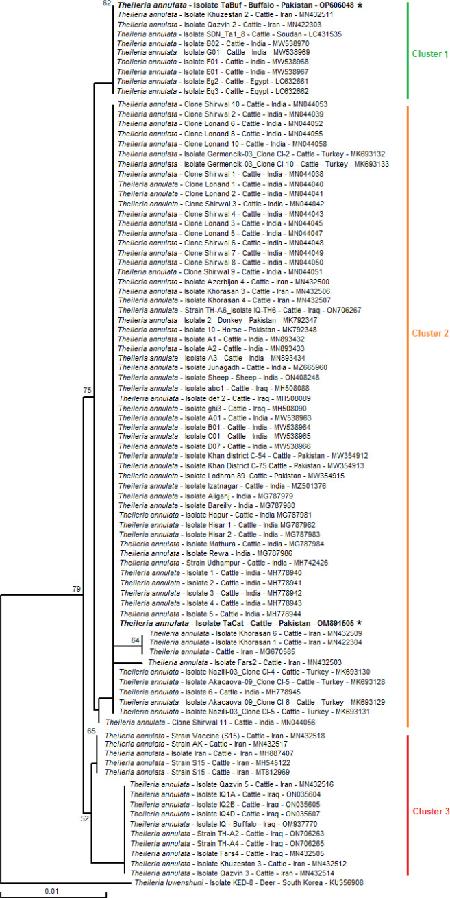Molecular epidemiology, associated risk factors, and phylogeny of <i>Theileria annulata</i> infecting buffaloes and cattle from different agro-climatic regions of Punjab, Pakistan.