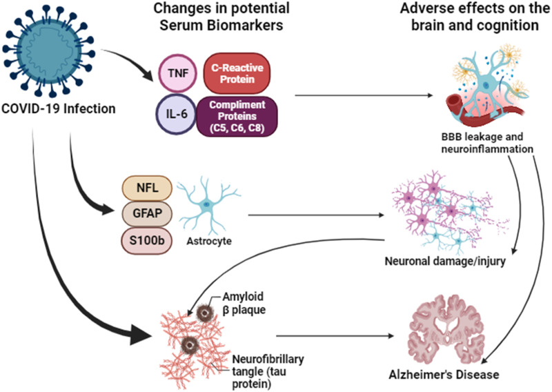 The Neuropathological Impacts of COVID-19: Challenges and Alternative Treatment Options for Alzheimer's Like Brain Changes on Severely SARS-CoV-2 Infected Patients.