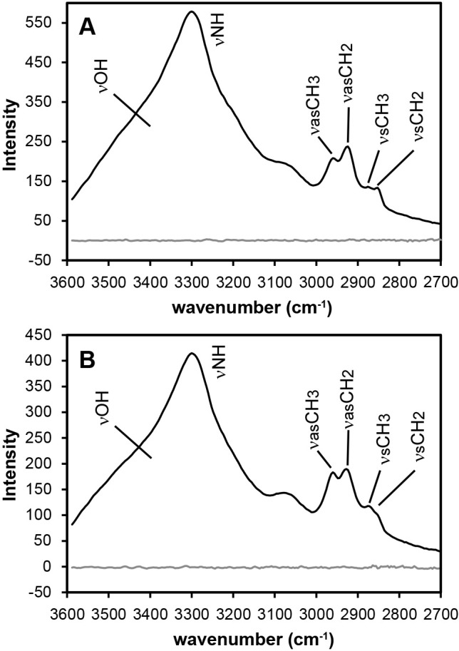 Domain-level Identification of Single Prokaryotic Cells by Optical Photothermal Infrared Spectroscopy.