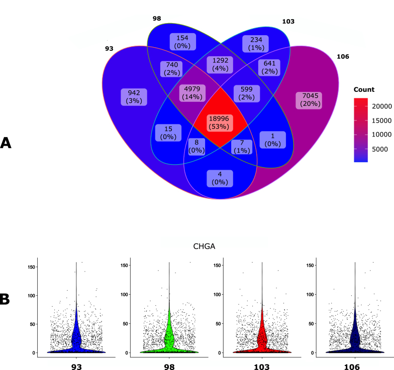 scAN1.0: A reproducible and standardized pipeline for processing 10X single cell RNAseq data.