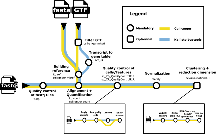 scAN1.0: A reproducible and standardized pipeline for processing 10X single cell RNAseq data.