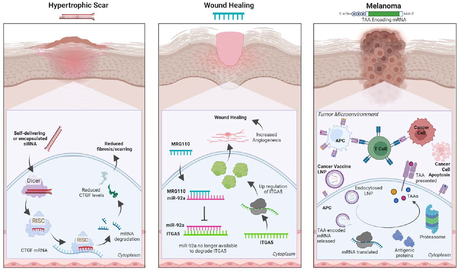 The Dawning of a New Enterprise: RNA Therapeutics for the Skin.