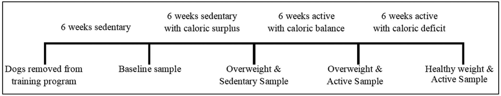 A Sled Dog Model for Positive Health Effects of Weight Management and Exercise.