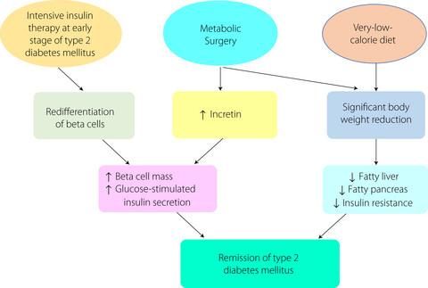Mechanisms and the strategy for remission of type 2 diabetes mellitus